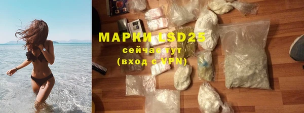 стафф Аркадак