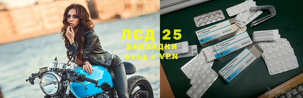 стафф Аркадак