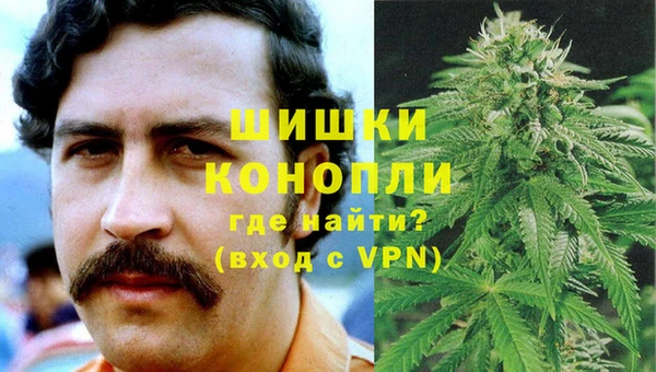 стафф Аркадак
