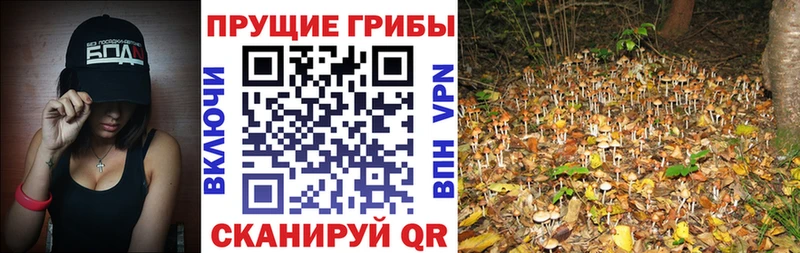 Псилоцибиновые грибы ЛСД  Никольское 